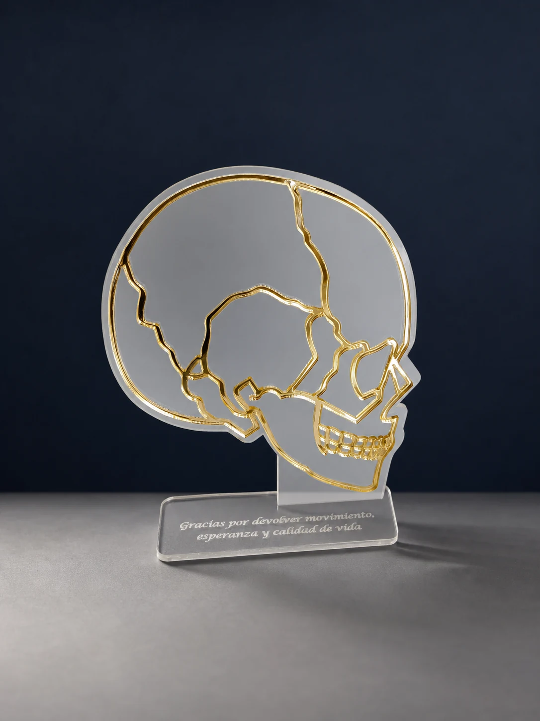 Reconocimiento personalizado de anatomía fabricado por Innokey